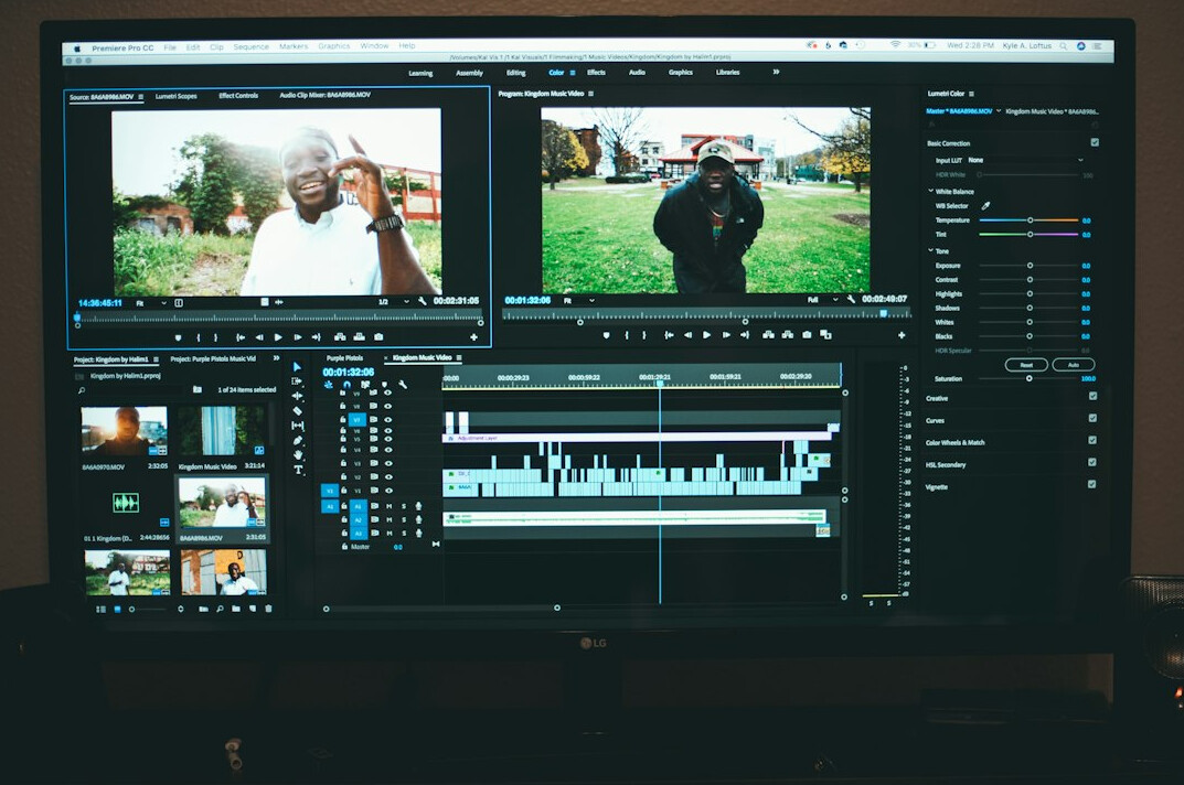 color correction monitor
